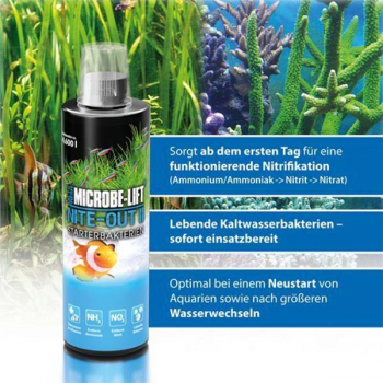 ARKA MICROBE-LIFT Nite-Out II - Starterbakterien 236ml